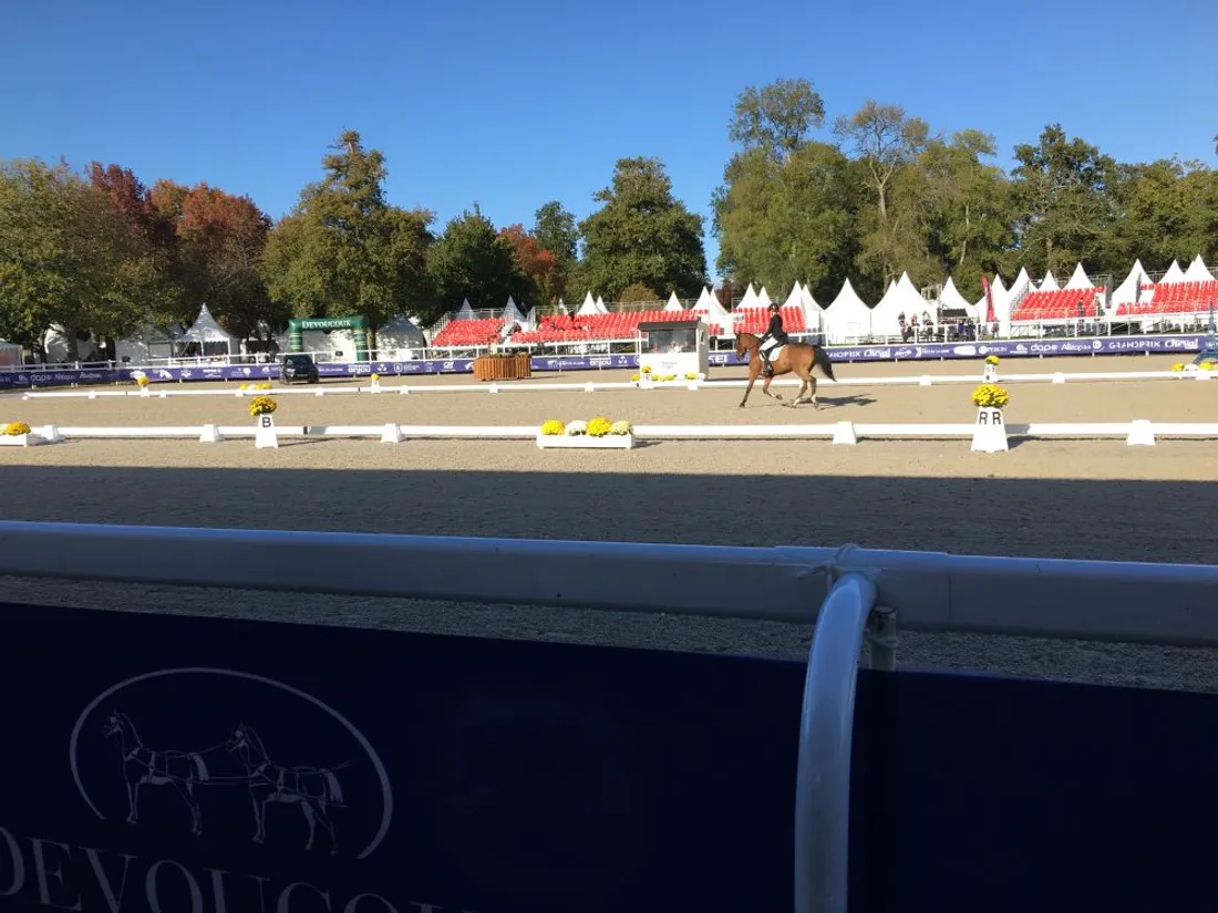 Piste Mondial du Lion_21 10 21_AVC 